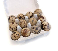 Quail Eggs